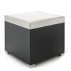 Pouf contenitore